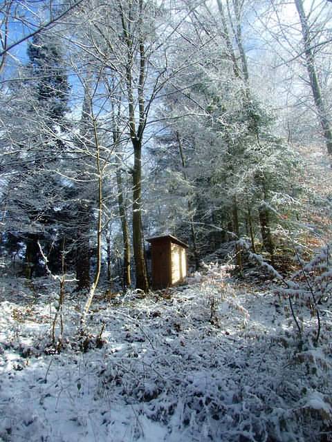 A latrine near the snow camp in the wood.