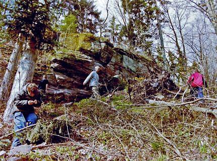 Forest Outdoor Education