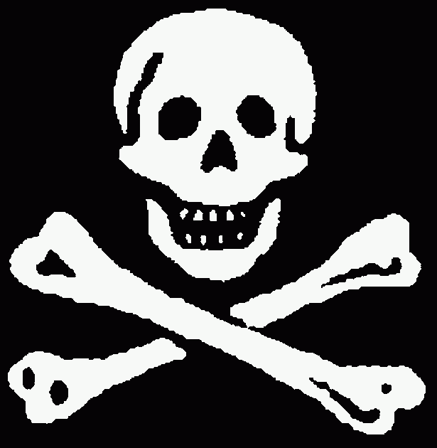 Pirate flag