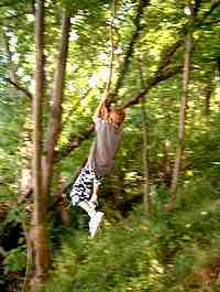 Swinging like Tarzan
