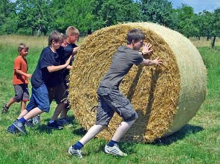 Rolling round straw bales