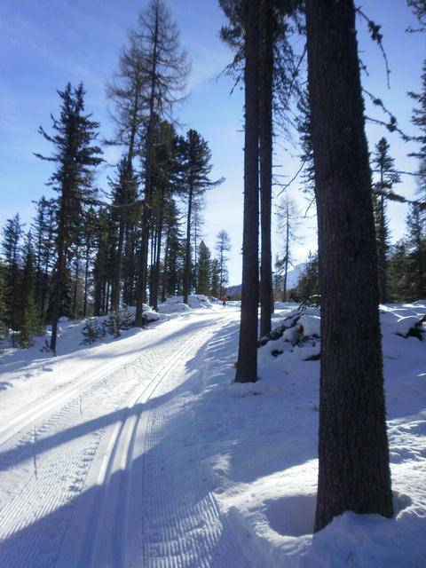 A cosy cross-country tour through beautiful forests.