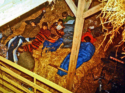 Sleeping in the straw