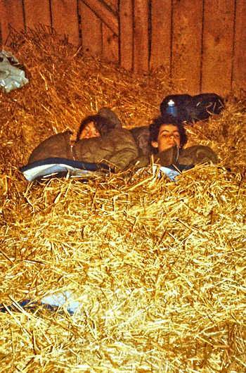 Sleeping in the straw