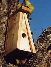 Bird house