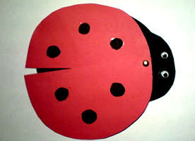 Ladybird