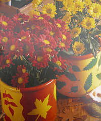 Pots with leaf patterns