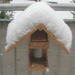 birdhouse with an automatic feeder