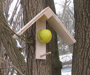 Apple feeder for birds