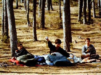 A one-night stay in southern France forest.