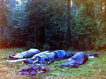 Hiking through the Black Forest – sleeping in a clearing in the grass.
