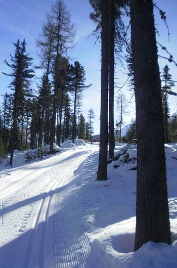  cross-country ski run