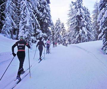 Cross-country skiing through the wood