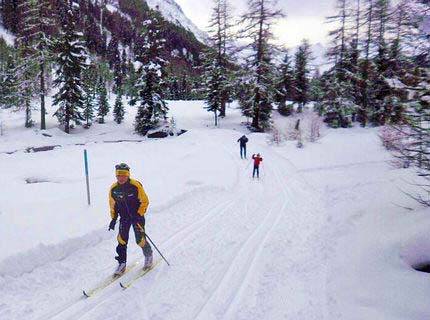 Cross-country skiing