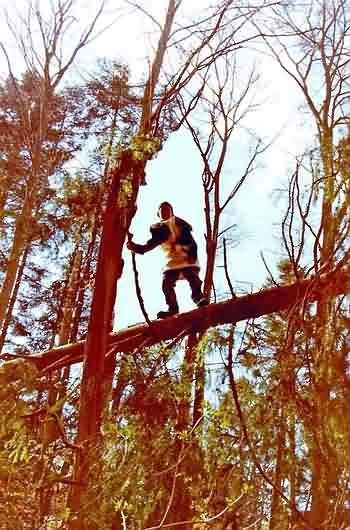 Tree climbing