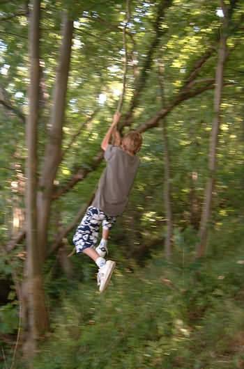 Tree climbing