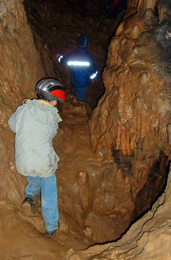 Cave tours