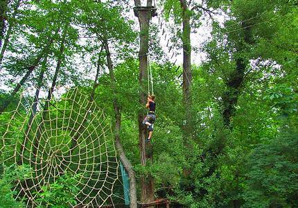 high rope course