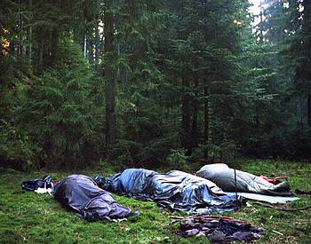 sleep rough in the wood